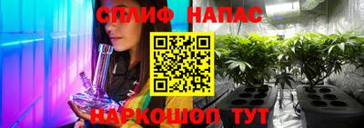 эйфоретик Гатчина