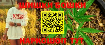 тгк Гай